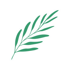 Sprig on a white background. Nature doodle. Isolated vector illustration with green leaves. Leaves are a separate element.