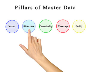 Five Pillars of Master Data