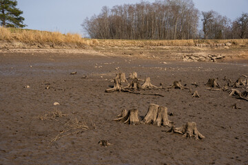 The pond for fish farming is lowered to the water level and visible its bed with some tree trunks and stones