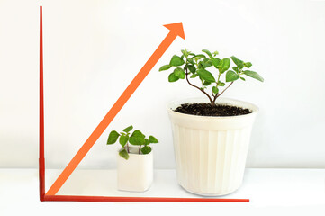 Up arrow graph. The concept of economic and financial growth, investment