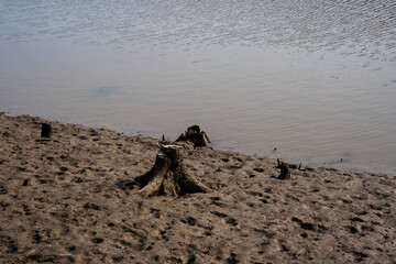 The pond for fish farming is lowered to the water level and visible its bed with some tree trunks and stones