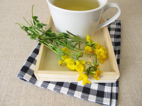 A cup of herbal tea with yellow flowers from birds-foot trefoil
