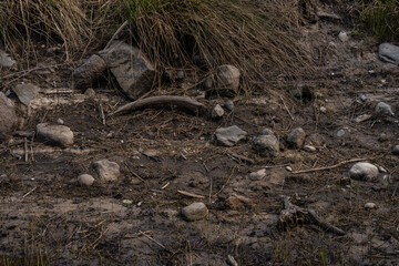the bottom of the pond bed when you lower the water you can see various interesting patterns and masonry formed by mud and sand