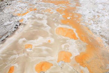 Naklejka premium Hot spring in Yellowstone National Park, Wyoming, USA