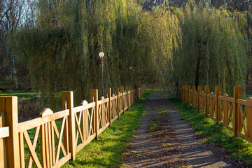 wooden bridge in the park