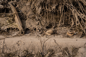 the bottom of the pond bed when you lower the water you can see various interesting patterns and masonry formed by mud and sand