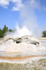 Yellowstone National Park in Wyoming, USA