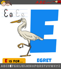 letter E from alphabet with cartoon egret bird animal character