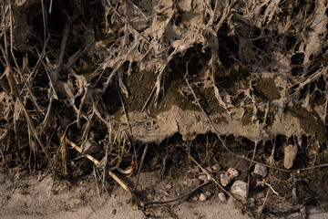 the bottom of the pond bed when you lower the water you can see various interesting patterns and masonry formed by mud and sand