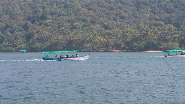 Dolphin safari near Devbaug beach, Maharashtra
