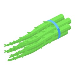 Asparagus branch icon. Isometric of Asparagus branch vector icon for web design isolated on white background