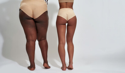 Back view of legs of two women in beige underwear with different body shape standing isolated over...