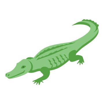 Carnivore crocodile icon. Isometric of Carnivore crocodile vector icon for web design isolated on white background