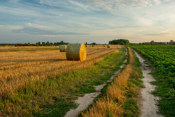 Dirt road and hay bales in the field, rural evening view, Czulczyce, Poland © darekb22