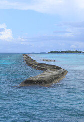 Obraz premium coast of palm tropical island, Maldives