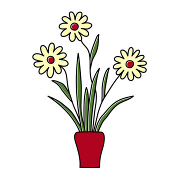 Potted gerbera or chamomile sketch. Vector indoor flower in a pot. Doodle color illustration of a plant. Cartoon drawing