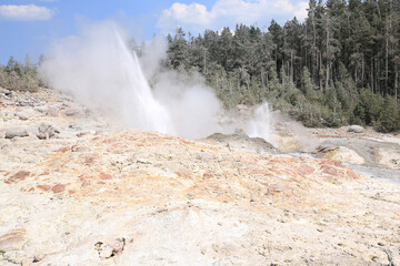 Geyser in Yellowstone National Park, Wyoming, USA