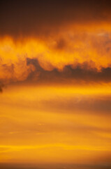 Fototapeta premium nature