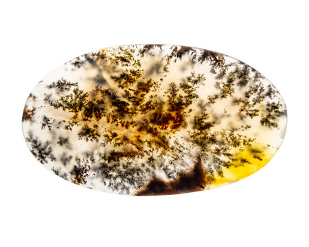 oval cabochon of moss agate isolated on a white background