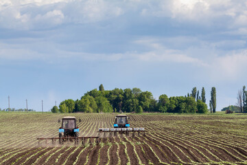 Fototapeta premium field work in agriculture. farmer's tractor harrows the field after planting seeds. tractor and seeder planting crops on a field.
