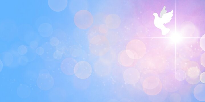 Web banner religioso  e rosa cielo Paradiso. Colomba Bianca. Luce Croce Raggiante. Pentecoste. Annunciazione. Pasqua. Natale. Bokeh, stelle, sole. Raggio di luce magica 