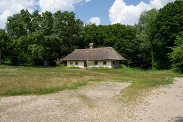 Fototapeta na wymiar A village yard with grass and trees near the ancient Ukrainian countryside house