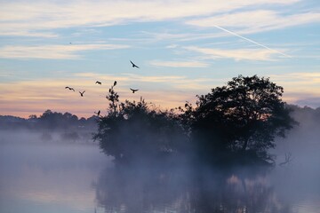 Richmond Park