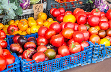 Fresh various tomatoes vegetables at the farmers market