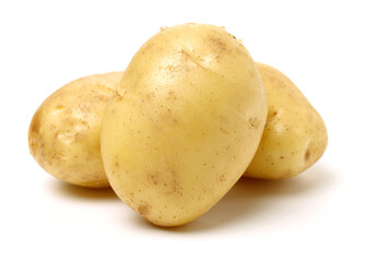 potato on a white background