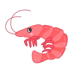 Collection of marine animals in cartoon style. Vector illustration of shrimp.
