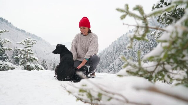 4K woman playing with two black dogs in snow outside in forest mountain. Animals concept, environment, free time concept.