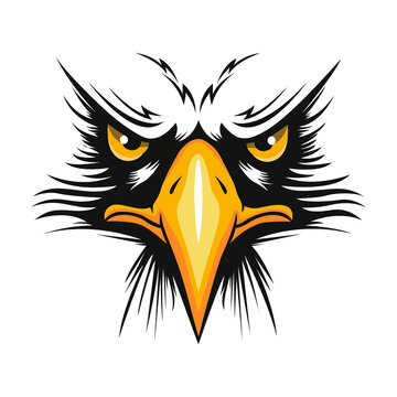 3 976 Best Angry Eagle Images Stock Photos Vectors Adobe Stock 3 976 Best Angry Eagle Images Stock Photos Vectors Adobe Stock