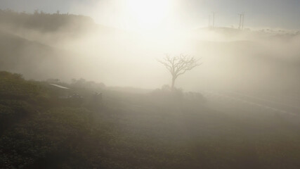 Fototapeta premium Wind turbine montait valley in mist