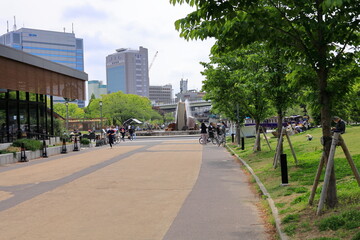 Fototapeta premium 大阪城公園 大阪 日本