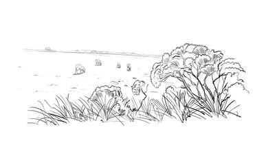 Sheep grazing in the meadow. Rural landscape. Farm sketch. Hand drawn vector illustration. 