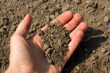 Hand holding pieces of soil. Drought concept