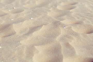 Texture of sand. Sandy beach as background. Selective focus.