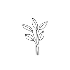 Floral icon, vector graphics. Hand drawn branches with leaves.
