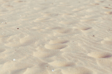 Texture of sand. Sandy beach as background. Selective focus.