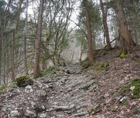 Wanderung Taubensee/Sonnwendköpfl