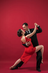 Couple of professional tango dancers in elegant suit and dress pose in a dancing movement on red...