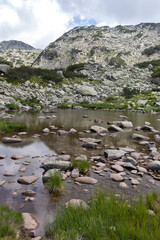 Landscape with Banderitsa River, Pirin Mountain, Bulgaria