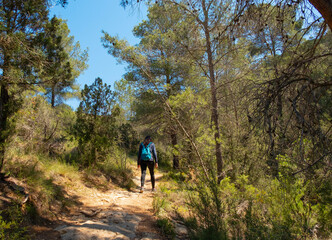 
Hiking route in a town in the province of Valencia, nature on a sunny day.