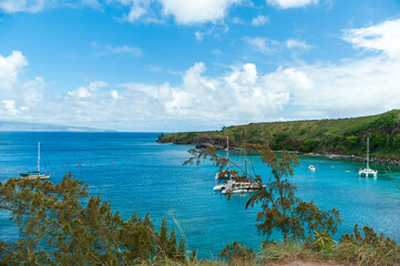 Honolua Bay,Maui,hawaii