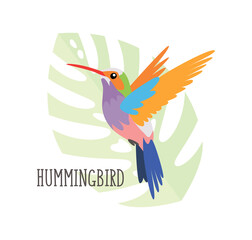 Vector cartoon tropical bird isolated on white background, hummingbird. Bird sticker. Flat illustration.