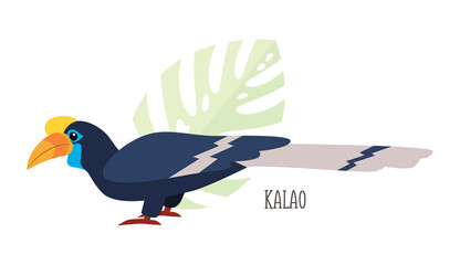 Vector cartoon tropical bird isolated on white background, kalao. Bird sticker. Flat illustration.