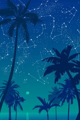 Vector graphics, palm trees on a background of the starry sky.