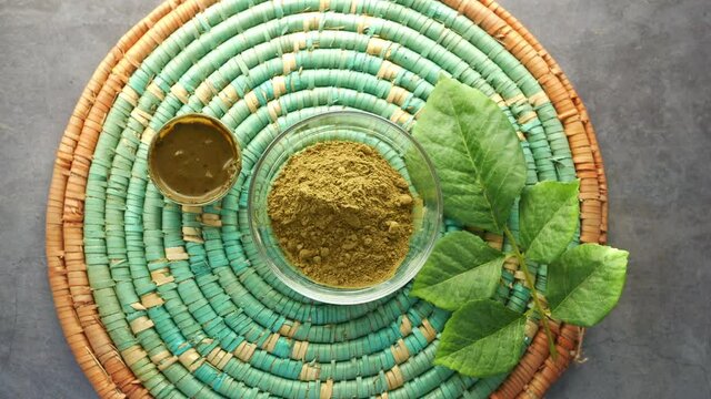 The wooden bowl with rehydrated henna power on table 