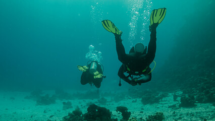 Fototapeta na wymiar Diving on the reefs of the race sea ...