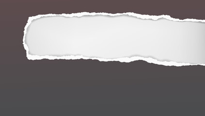 Naklejka premium Oblong hole composition in dark grey paper with torn edges and soft shadow is on white background. Vector illustration
